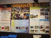 141109ツシマヤマネコ応援団@エコカフェ.JPG