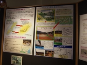141109ツシマヤマネコ野生復帰事業@エコカフェ.JPG