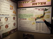 141109ツシマヤマネコ飼育下繁殖@エコカフェ.JPG