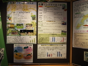 141109佐護ツシマヤマネコ研究会@エコカフェ.JPG