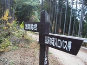 141115浅間尾根の標識@エコカフェ.JPG