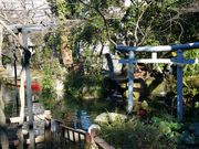 150124愛宕神社池@エコカフェ.jpg