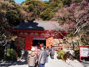 150201荏柄天神社拝殿@エコカフェ.JPG