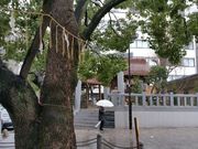 150222太田姫神社@エコカフェ.jpg