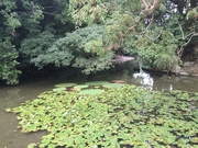 150919栗林公園2@エコカフェ.jpg