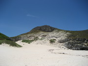 2006珊瑚礁の島@エコカフェ小笠原データ 126.jpg