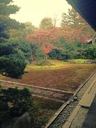 五台山清涼寺(嵯峨野釈迦堂)@青柳n.jpg