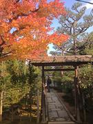塔頭 総見院 信長公のお墓_n.jpg