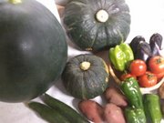 夏野菜2@エコカフェ.jpg