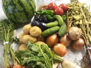 夏野菜@エコカフェ.jpg