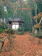 滝口寺@青柳.jpg