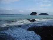 震災後の南三陸町戸倉の海岸線@エコカフェ.JPG