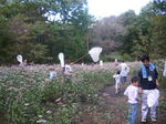 IMGP0052.JPG