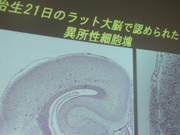 IMGP0070.JPG