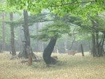 IMGP6199.JPG