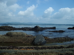 IMGP8964.JPG