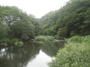 IMG_7621.JPG