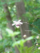 R0014913.JPG