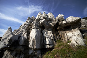 T003250.jpg