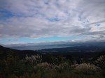 DSC_0660.jpg