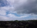 DSC_1205.jpg